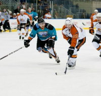 Medibank Icehouse - Palm Beach Accommodation