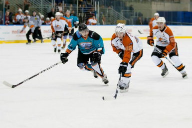 Medibank Icehouse - Palm Beach Accommodation 0