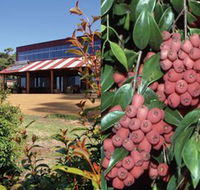 Bushfood Factory and Cafe - Palm Beach Accommodation
