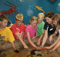 Naturaliste Marine Discovery Centre - Palm Beach Accommodation