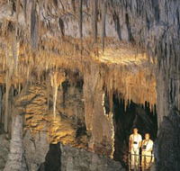 Mammoth Cave - Palm Beach Accommodation