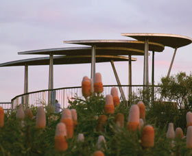 Reabold Hill Summit Boardwalk, Bold Park - Palm Beach Accommodation 0