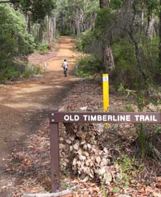 Nannup WA Palm Beach Accommodation