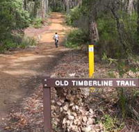 Old Timberline and Sidings Rail Trails - Palm Beach Accommodation