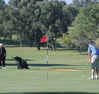 Spalding Park - Palm Beach Accommodation