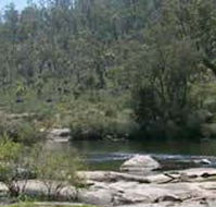 Wellington Discovery Forest - Palm Beach Accommodation
