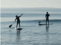 Jervis Bay Stand Up Paddle - Palm Beach Accommodation 1