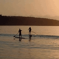Jervis Bay Stand Up Paddle - Palm Beach Accommodation 2