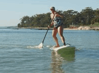 Jervis Bay Stand Up Paddle - Palm Beach Accommodation 4