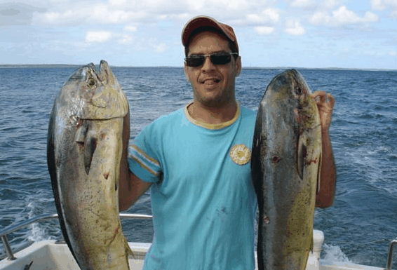 Jervis Bay Fishing and Charters - Palm Beach Accommodation