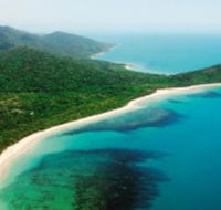 Jungle Tours and Trekking - Palm Beach Accommodation