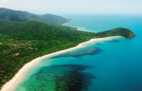 Jungle Tours And Trekking - Palm Beach Accommodation 0