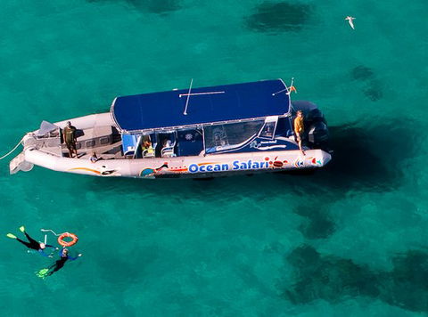 Jungle Tours And Trekking - Palm Beach Accommodation 5
