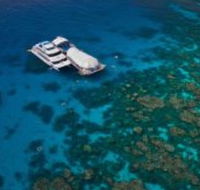 Great Adventures Reef and Green Island Cruises - Palm Beach Accommodation