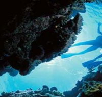 Deep Sea Divers Den - Palm Beach Accommodation