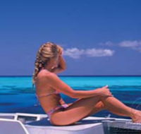 Mike Ball Dive Expeditions - Palm Beach Accommodation