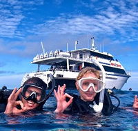 Pro Dive Cairns - Palm Beach Accommodation