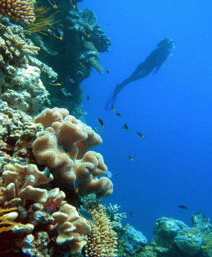 Mooroobool QLD Palm Beach Accommodation