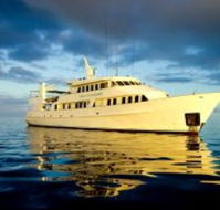 Spirit Of Freedom - Palm Beach Accommodation