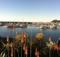 Mantaray Charters - Palm Beach Accommodation