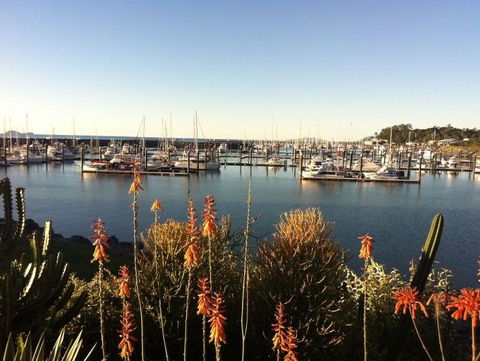 Mantaray Charters - Palm Beach Accommodation 0