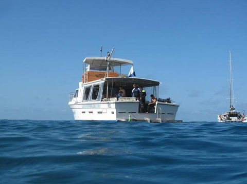 Mantaray Charters - Palm Beach Accommodation 3