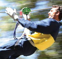 Adventure Parc - Palm Beach Accommodation