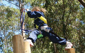 Adventure Parc - Palm Beach Accommodation 1