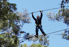 Adventure Parc - Palm Beach Accommodation 2