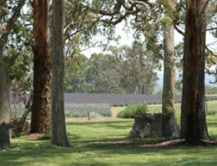 Amosfield QLD Palm Beach Accommodation
