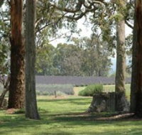 Aloomba Lavender - Palm Beach Accommodation