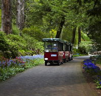 Araluen Botanic Park - Palm Beach Accommodation