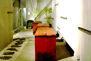 Koi - Palm Beach Accommodation 0