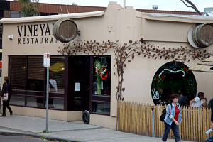 Vineyard Restaurant - Palm Beach Accommodation 0