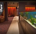 AB Hotel - Palm Beach Accommodation
