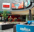 Highpoint Hotel - Palm Beach Accommodation