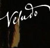 Veludo - Palm Beach Accommodation