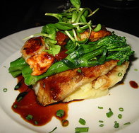 Bedford Hotel - Palm Beach Accommodation