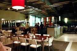 Martini Bar - Palm Beach Accommodation 1