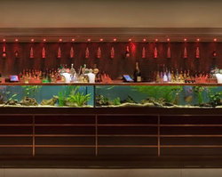 AB Hotel - Palm Beach Accommodation 2