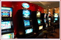 Lucky Star Tavern - Palm Beach Accommodation 2