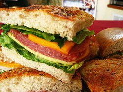 Mink - Palm Beach Accommodation 3