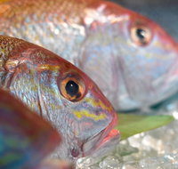 Coro Hotel - Lure Seafood Restaurant - Palm Beach Accommodation