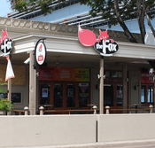 The Fox Ale House - Palm Beach Accommodation