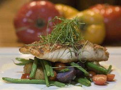 Queens Arms Hotel - Palm Beach Accommodation 0