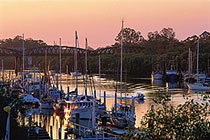 H20 Bar And Bistro - Palm Beach Accommodation 1