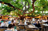 The Oaks - Palm Beach Accommodation 2