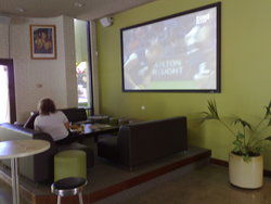 OP's Tavern - Palm Beach Accommodation 2