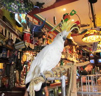 A Friend In Hand - Palm Beach Accommodation