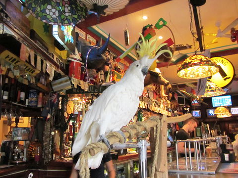 A Friend In Hand - Palm Beach Accommodation 0